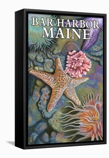 Bar Harbor, Maine - Tidepool Scene-Lantern Press-Framed Stretched Canvas