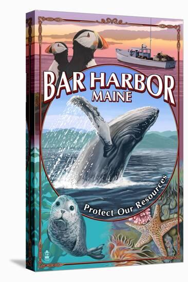 Bar Harbor, Maine - Wildlife Montage-Lantern Press-Stretched Canvas