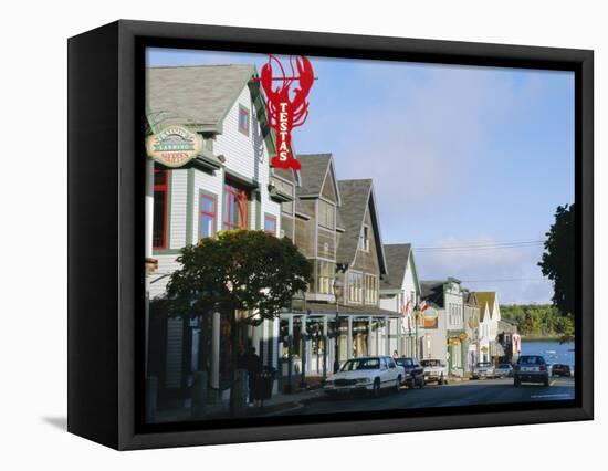 Bar Harbour, Maine, USA-Fraser Hall-Framed Stretched Canvas