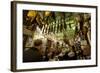 Bar Las Teresas, Seville, Andalucia, Spain, Europe-Stuart Black-Framed Photographic Print