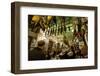 Bar Las Teresas, Seville, Andalucia, Spain, Europe-Stuart Black-Framed Photographic Print