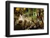 Bar Las Teresas, Seville, Andalucia, Spain, Europe-Stuart Black-Framed Photographic Print