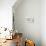 Bar-Tailed Godwit 19-Kurien Yohannan-Photographic Print displayed on a wall