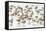 Bar-Tailed Godwit 19-Kurien Yohannan-Framed Stretched Canvas
