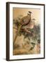 Bar-Tailed Pheasant (Phasianus Reevesi), 1852-54-Joseph Wolf-Framed Giclee Print