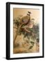 Bar-Tailed Pheasant (Phasianus Reevesi), 1852-54-Joseph Wolf-Framed Giclee Print