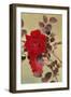 Bara 12976 Crop 1-Haruyo Morita-Framed Art Print