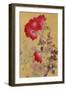 Bara 12976 Crop 3-Haruyo Morita-Framed Art Print