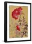 Bara 12976 Crop 3-Haruyo Morita-Framed Art Print