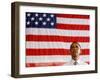 Barack Obama in front of US Flag, Flint, MI-null-Framed Photographic Print