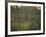 Barasingha Swamp Deer Kaziranga Np, Assam, India-Jean-pierre Zwaenepoel-Framed Photographic Print