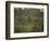 Barasingha Swamp Deer Kaziranga Np, Assam, India-Jean-pierre Zwaenepoel-Framed Photographic Print