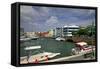 Barbados 1-J.D. Mcfarlan-Framed Stretched Canvas