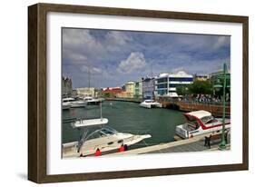 Barbados 1-J.D. Mcfarlan-Framed Giclee Print