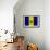 Barbados Flag Design with Wood Patterning - Flags of the World Series-Philippe Hugonnard-Framed Art Print displayed on a wall