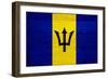 Barbados Flag Design with Wood Patterning - Flags of the World Series-Philippe Hugonnard-Framed Art Print