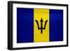 Barbados Flag Design with Wood Patterning - Flags of the World Series-Philippe Hugonnard-Framed Art Print