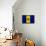 Barbados Flag Design with Wood Patterning - Flags of the World Series-Philippe Hugonnard-Framed Stretched Canvas displayed on a wall