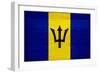 Barbados Flag Design with Wood Patterning - Flags of the World Series-Philippe Hugonnard-Framed Premium Giclee Print