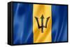 Barbados Flag-daboost-Framed Stretched Canvas