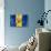 Barbados Flag-daboost-Stretched Canvas displayed on a wall