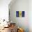 Barbados Flag-daboost-Art Print displayed on a wall