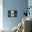 Barbados Flag-daboost-Framed Stretched Canvas displayed on a wall