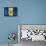 Barbados Flag-daboost-Framed Stretched Canvas displayed on a wall