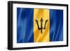 Barbados Flag-daboost-Framed Premium Giclee Print