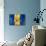 Barbados Flag-daboost-Mounted Art Print displayed on a wall