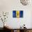 Barbados Flag-daboost-Mounted Art Print displayed on a wall