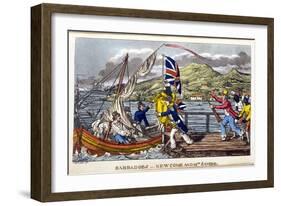 Barbados: Newcome and Mrs Sambo-Charles Williams-Framed Giclee Print