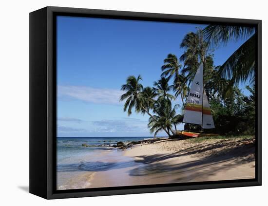 Barbados, West Indies, Caribbean, Central America-Robert Harding-Framed Stretched Canvas