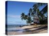 Barbados, West Indies, Caribbean, Central America-Robert Harding-Stretched Canvas