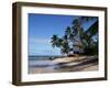 Barbados, West Indies, Caribbean, Central America-Robert Harding-Framed Photographic Print