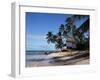 Barbados, West Indies, Caribbean, Central America-Robert Harding-Framed Photographic Print