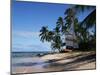 Barbados, West Indies, Caribbean, Central America-Robert Harding-Mounted Photographic Print