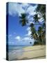 Barbados, West Indies, Caribbean, Central America-Harding Robert-Stretched Canvas
