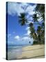 Barbados, West Indies, Caribbean, Central America-Harding Robert-Stretched Canvas