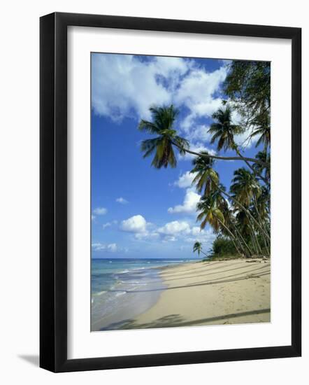 Barbados, West Indies, Caribbean, Central America-Harding Robert-Framed Photographic Print