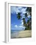 Barbados, West Indies, Caribbean, Central America-Harding Robert-Framed Photographic Print