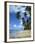 Barbados, West Indies, Caribbean, Central America-Harding Robert-Framed Photographic Print