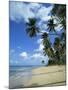 Barbados, West Indies, Caribbean, Central America-Harding Robert-Mounted Photographic Print