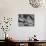 Barbara Angle Helping Her Husband Samuel Angle Prepare Food for the Flying Squirrels-Bernard Hoffman-Photographic Print displayed on a wall