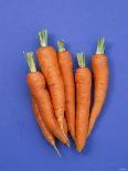 Fresh Carrots-Barbara Bonisolli-Photographic Print