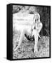 Barbara Bouchet-null-Framed Stretched Canvas