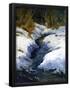 Essential Black