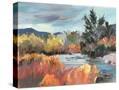 Stretched Canvas