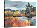 Stretched Canvas