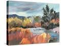 Stretched Canvas